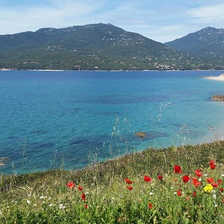 Studio T1 Bis Vue Mer Propriano Propriano  Bagian luar foto